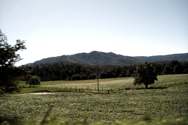 Coffs Harbour 2010